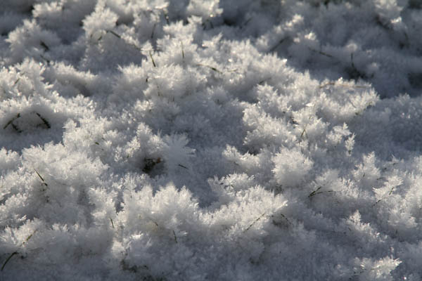 Sne-krystaller